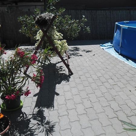Attila Vendeghaz Tapioszentmarton Hotel Bagian luar foto