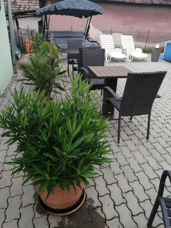 Attila Vendeghaz Tapioszentmarton Hotel Bagian luar foto